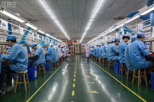 指尖上的時光 95后流水線上的電子青春